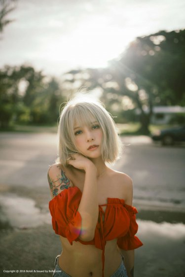狮子王全集